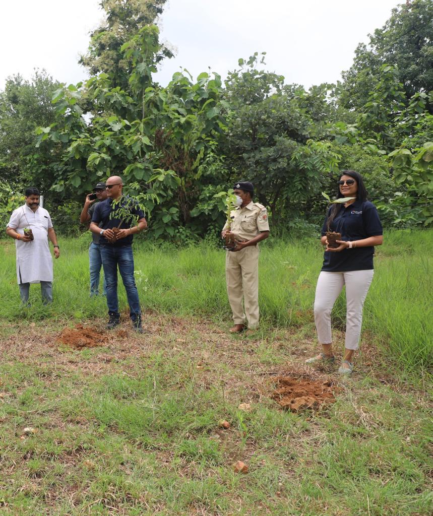TREE PLANTATION