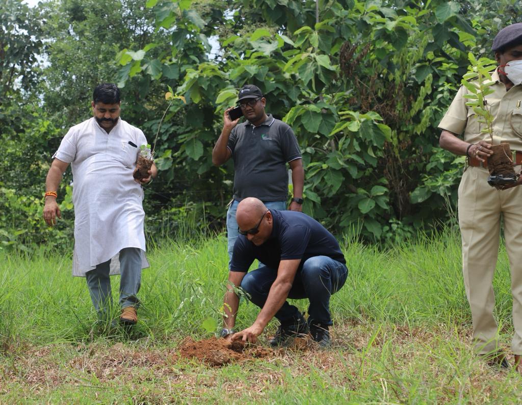 TREE PLANTATION