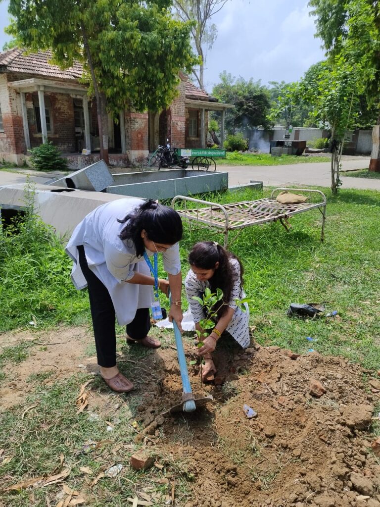 World Environment Day