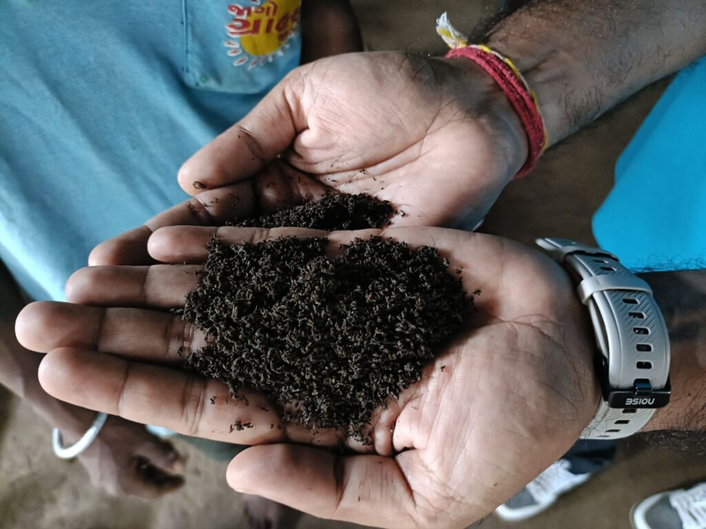 Women Entrepreneurs in Vermi compost Production
